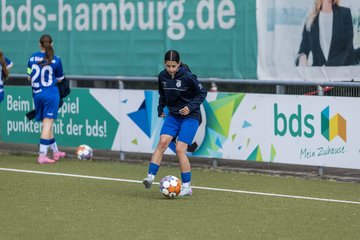 Bild 74 - wBJ Hamburger SV - FC Suederelbe : Ergebnis: 9:0